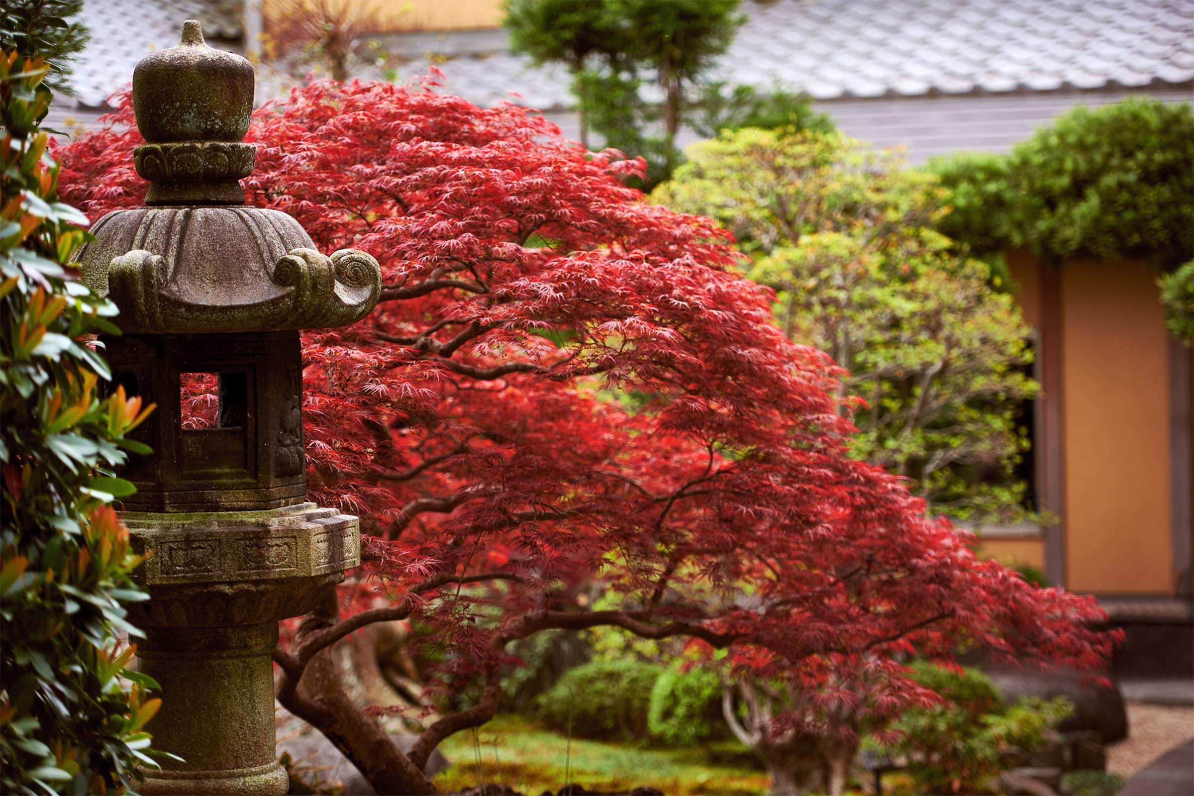 Bali Hotel Interior Design